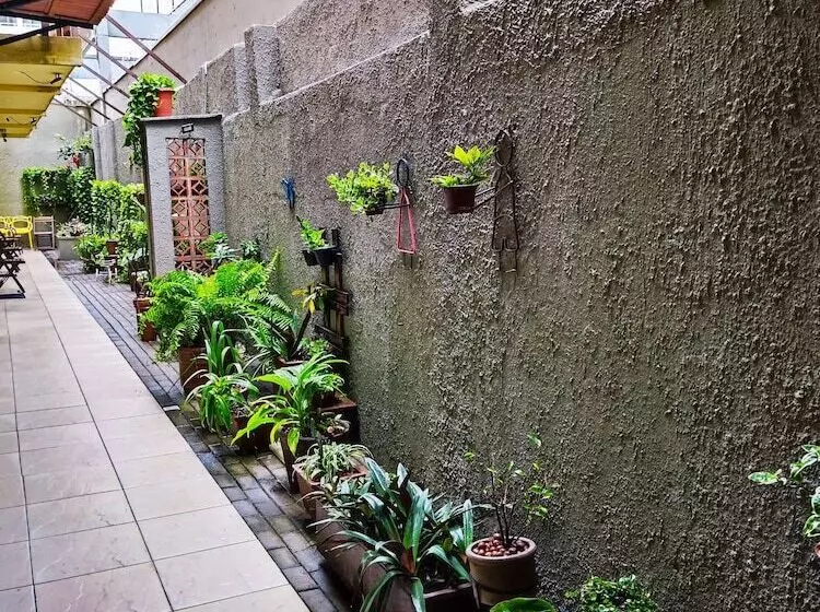 Fotos del hotel Algas Praia:  23