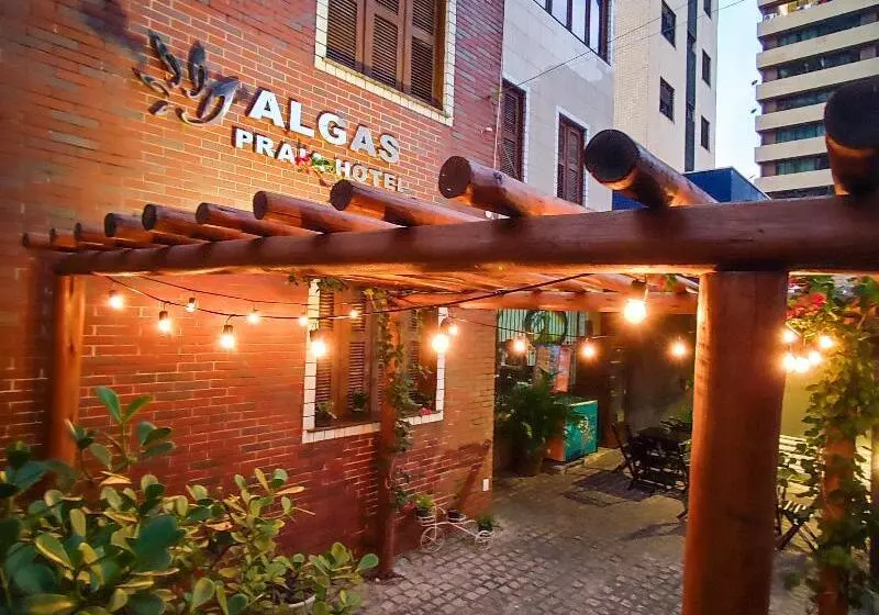 Fotos del hotel Algas Praia:  12