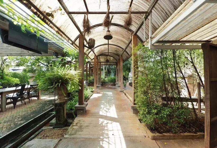 Fotos del hotel Nipa Garden:  14