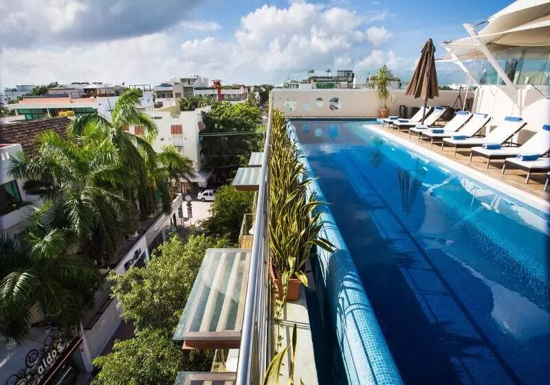 Fotos del hotel Senses Quinta Avenida Hotel By Artisan - Adults Only:  3