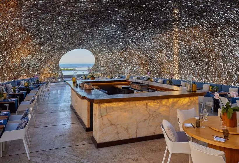 Fotos del hotel Viceroy Los Cabos:  13