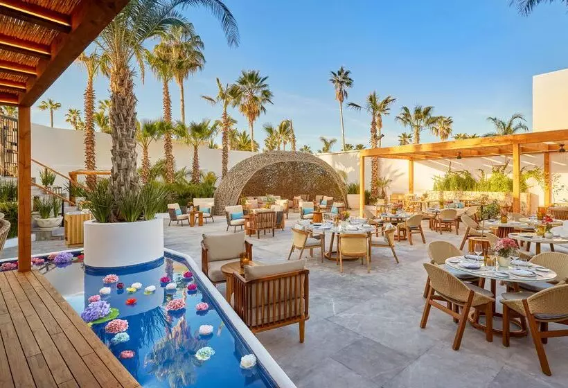 Fotos del hotel Viceroy Los Cabos:  4