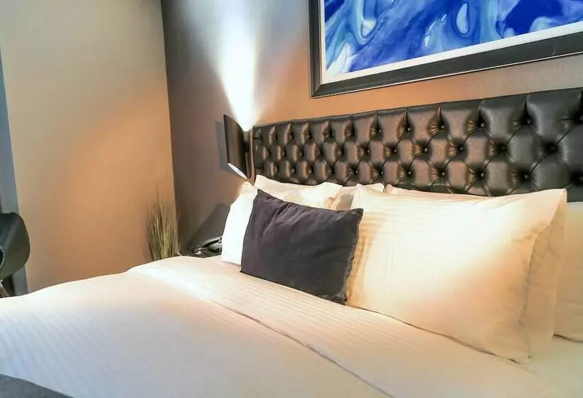 Fotos del hotel Barbera:  20