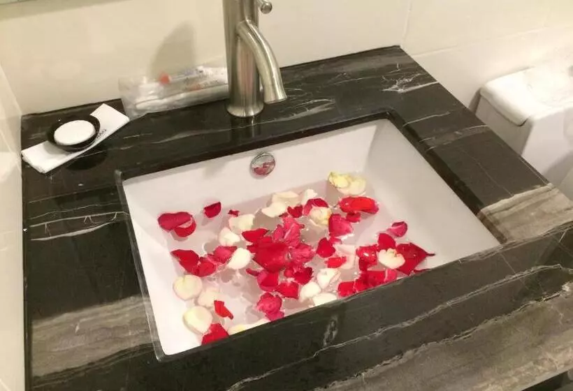 Fotos del hotel Belllo Hotel Jb Central:  12