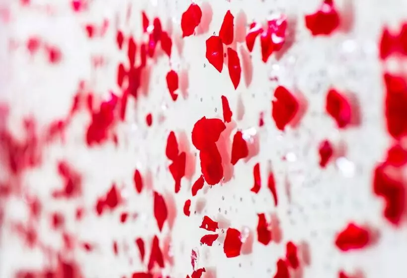 Fotos del hotel Kyriad Lyon Est Stadium Eurexpo Meyzieu:  15