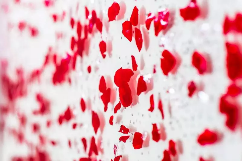 Fotos del hotel Kyriad Lyon Est Stadium Eurexpo Meyzieu:  9