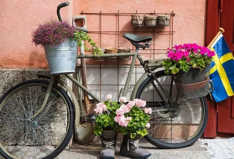 Fotos del hotel Sofo:  7