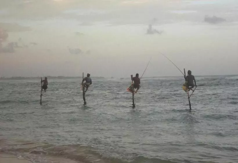 Fotos del hotel Anara Villa:  25