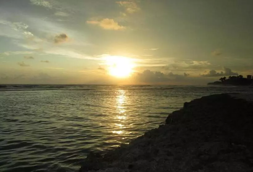 Fotos del hotel Anara Villa:  16