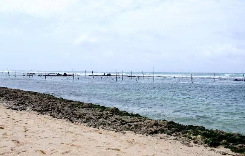 Fotos del hotel Anara Villa:  10