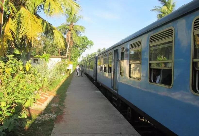 Fotos del hotel Anara Villa:  24