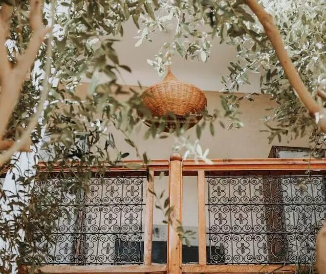 Fotos del hotel Dar Nour El Houda:  8