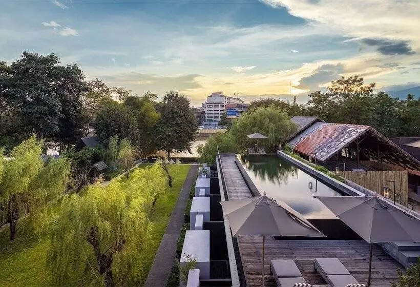 Fotos del hotel Des Artists, Ping Silhouette:  25