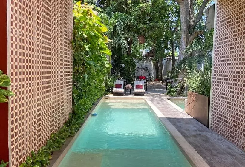 Fotos del hotel Casa Italia Luxury Guest House  Adults Only:  2