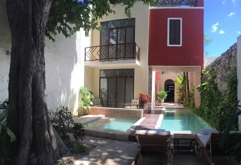 Fotos del hotel Casa Italia Luxury Guest House  Adults Only:  15