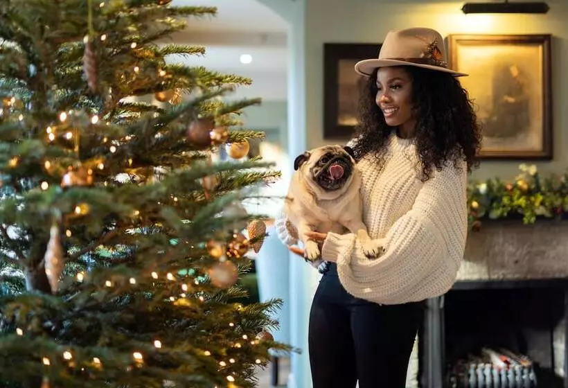 Fotos del hotel The Wheatsheaf Inn:  6