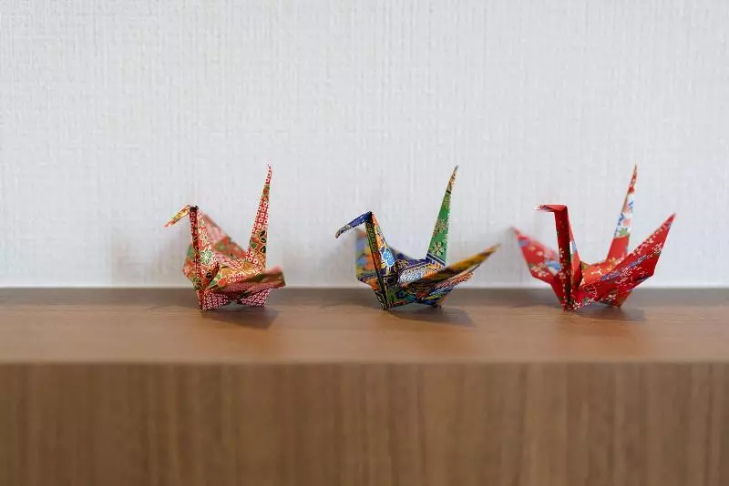 Fotos del hotel Kyoto Daiichi:  7