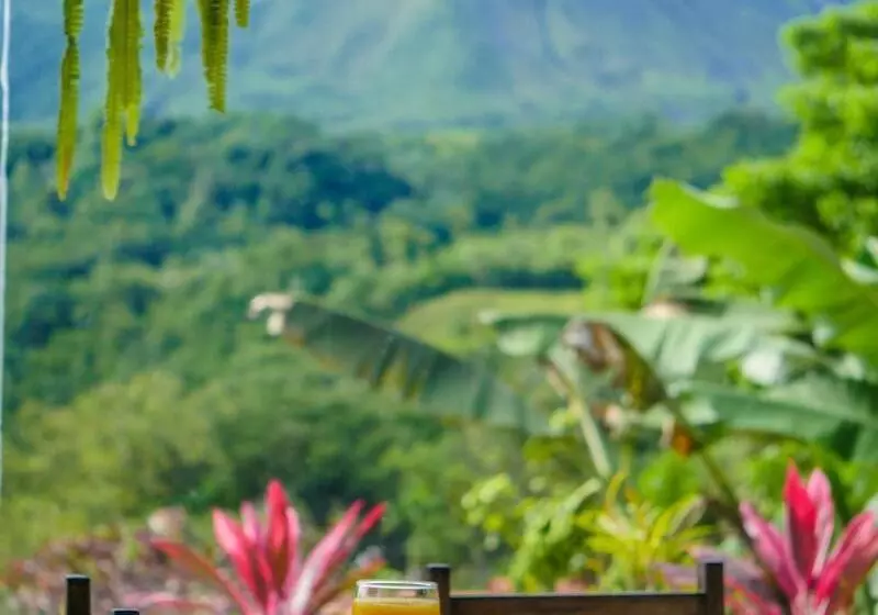 Fotos del hotel Miradas Arenal  & Hotsprings:  14