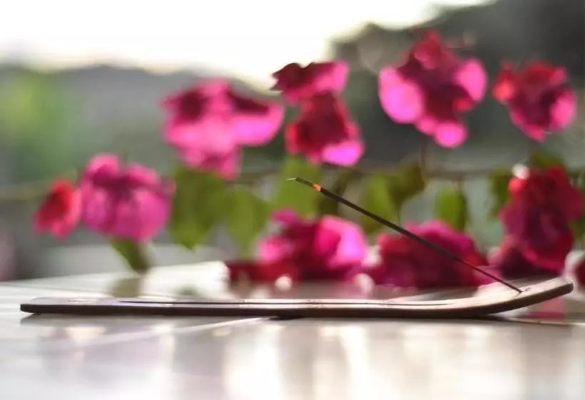 Fotos del hotel Miradas Arenal  & Hotsprings:  19