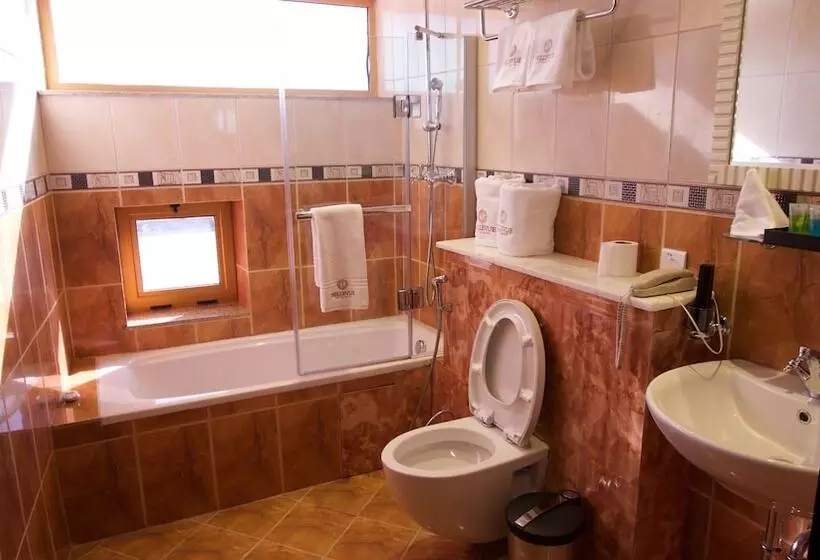 Fotos del hotel Bellevue Hotel And Spa:  7