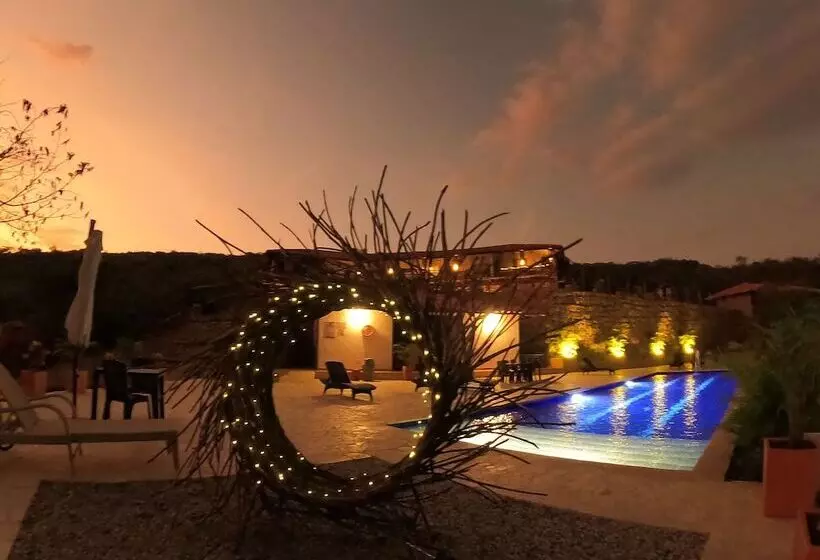 Fotos del hotel Boutique Feria Internacional:  6