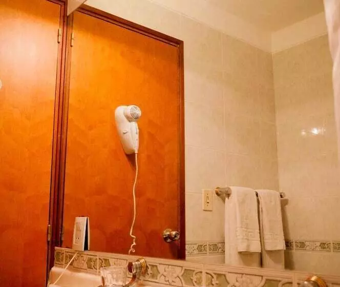 Fotos del hotel Roosevelt:  6