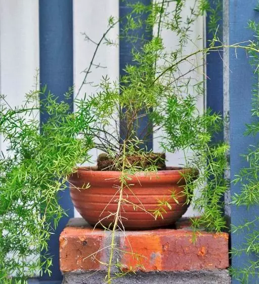 Fotos del hotel Bagasta Boutique:  5