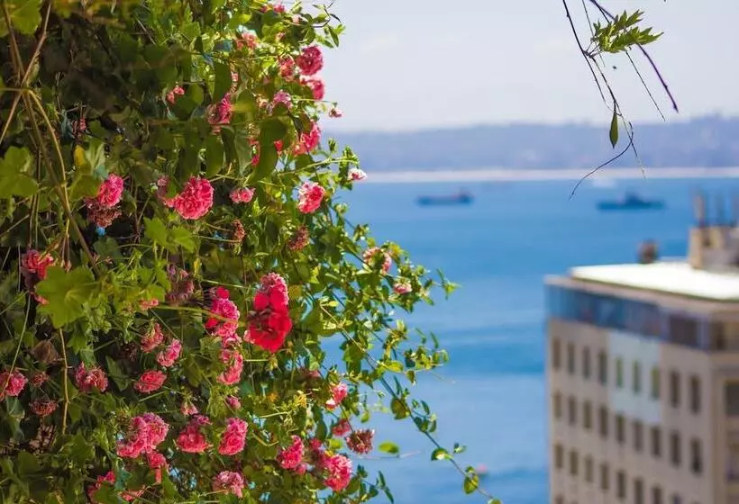 Fotos del hotel Boutique 17:  22