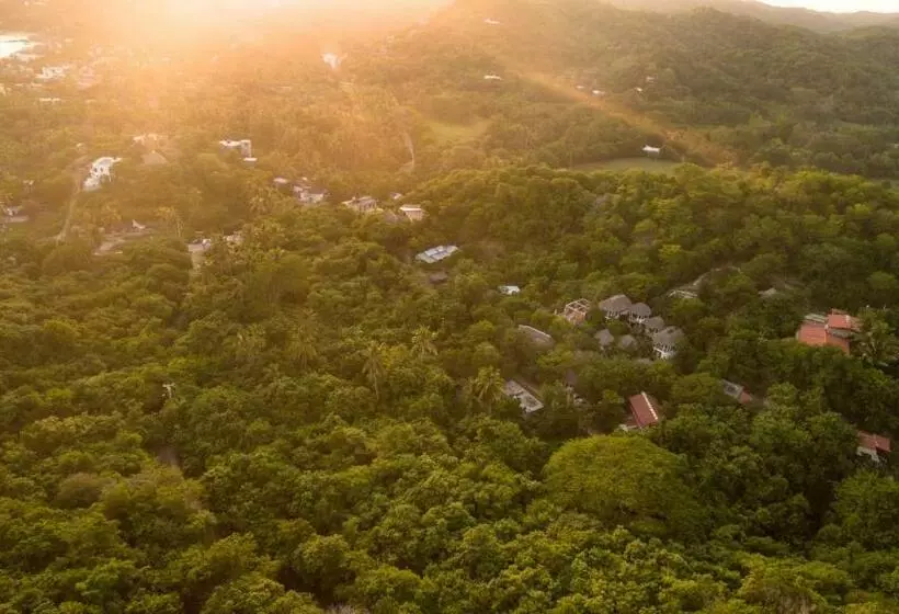Fotos del hotel Cabañas Biuzaa:  12