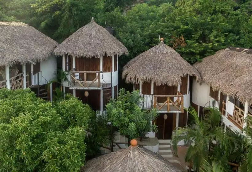 Fotos del hotel Cabañas Biuzaa:  18