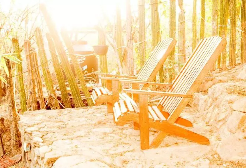 Fotos del hotel Cabañas Biuzaa:  10