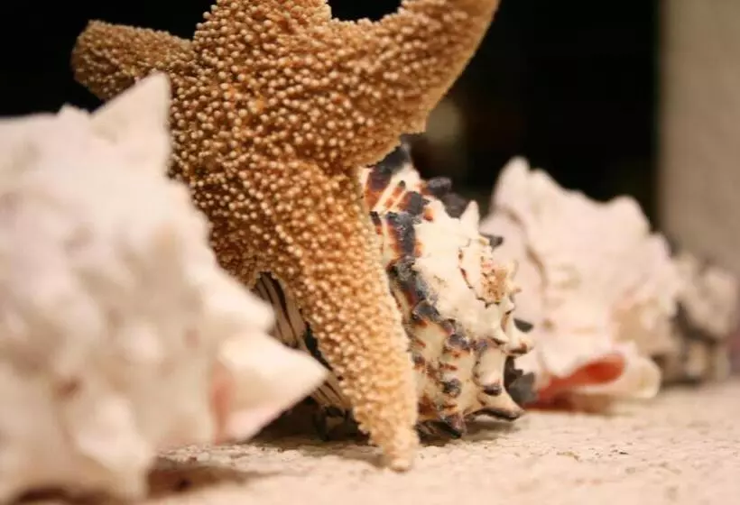 Fotos del hotel Cabañas Biuzaa:  6