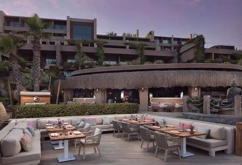 Fotos del hotel Caresse, A Luxury Collection Resort & Spa, Bodrum:  9