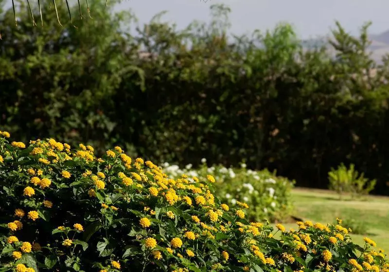 Fotos del hotel Le Palais Paysan:  12