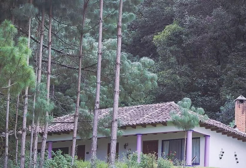 Fotos del hotel Molino De La Alborada:  9