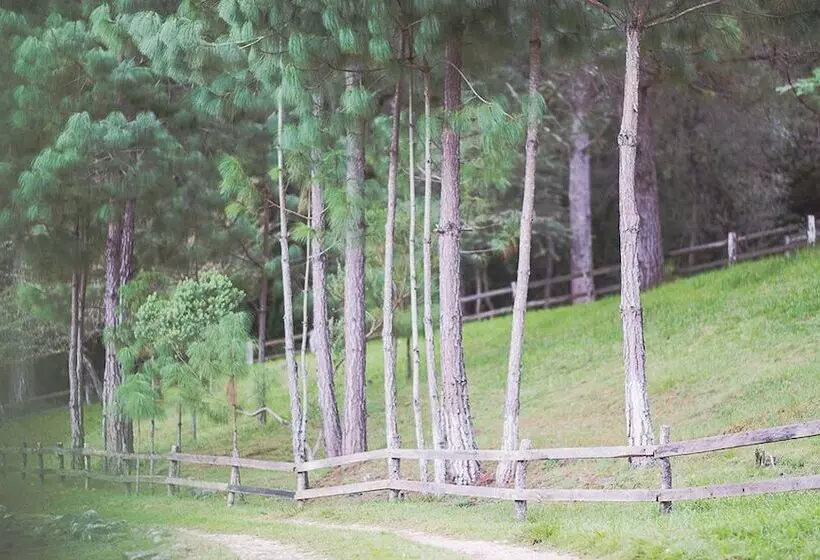 Fotos del hotel Molino De La Alborada:  2