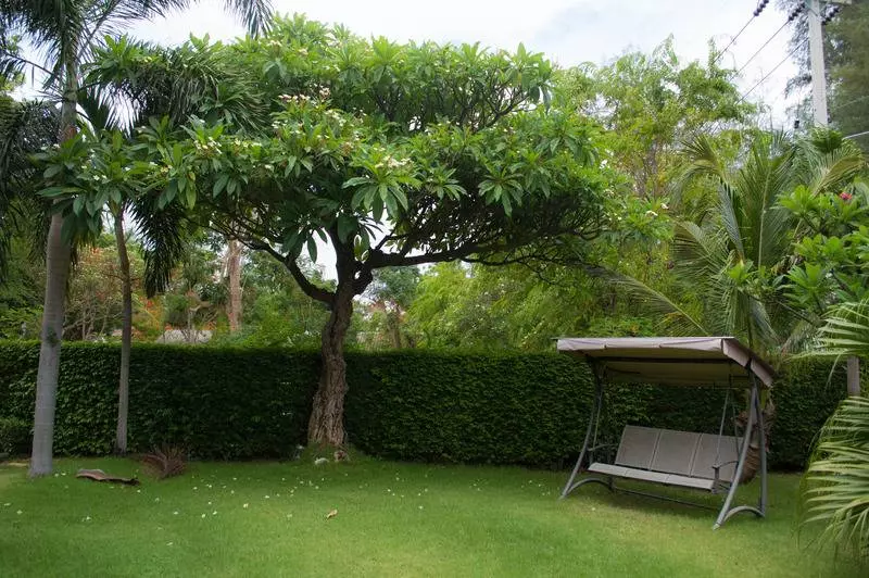 Fotos del hotel The Bihai Hua Hin:  13