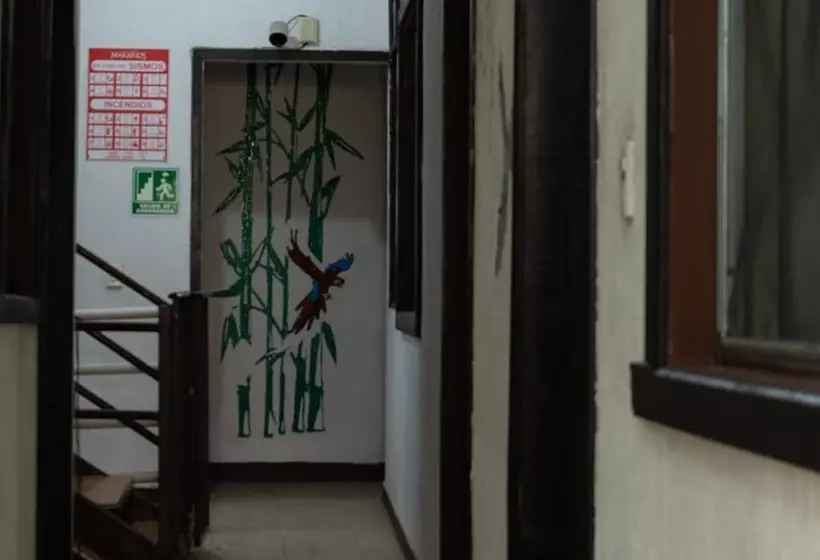 Fotos del hotel Makarios:  12