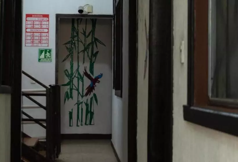 Fotos del hotel Makarios:  25