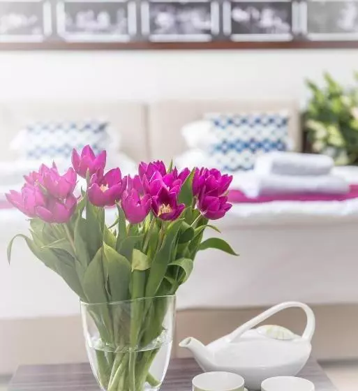 Fotos del hotel Theater Belgrade:  6