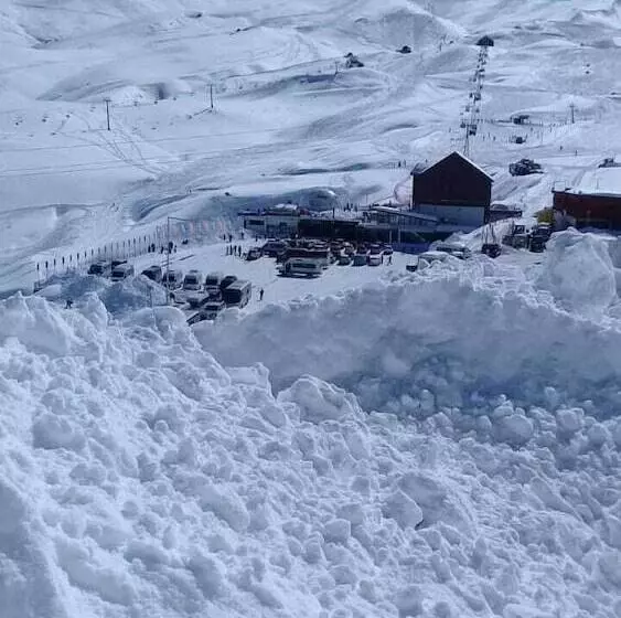 Fotos del hotel Tremo Forestal:  19
