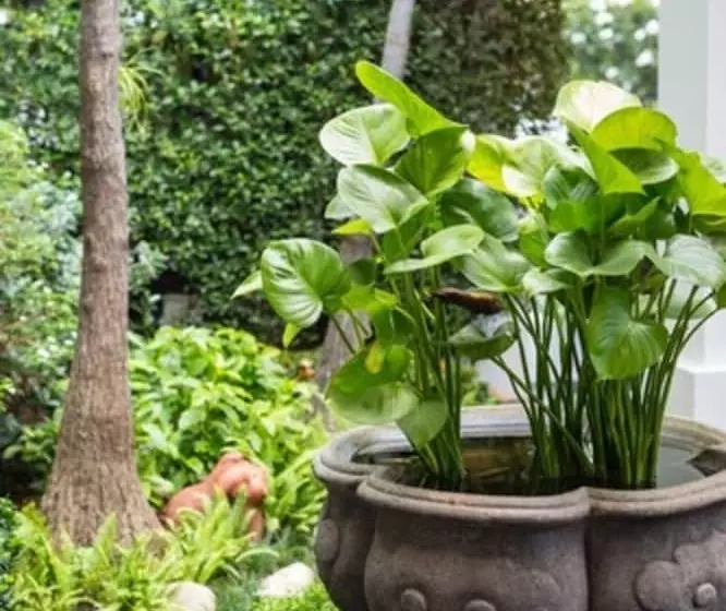 Fotos del hotel Asia S Group:  20