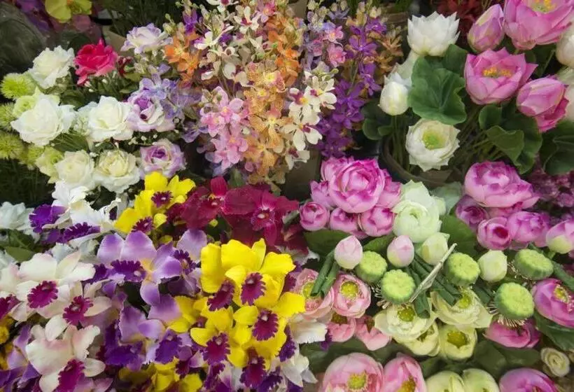 Fotos del hotel Asia S Group:  9