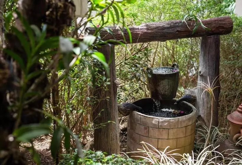 Fotos del hotel Asia S Group:  16