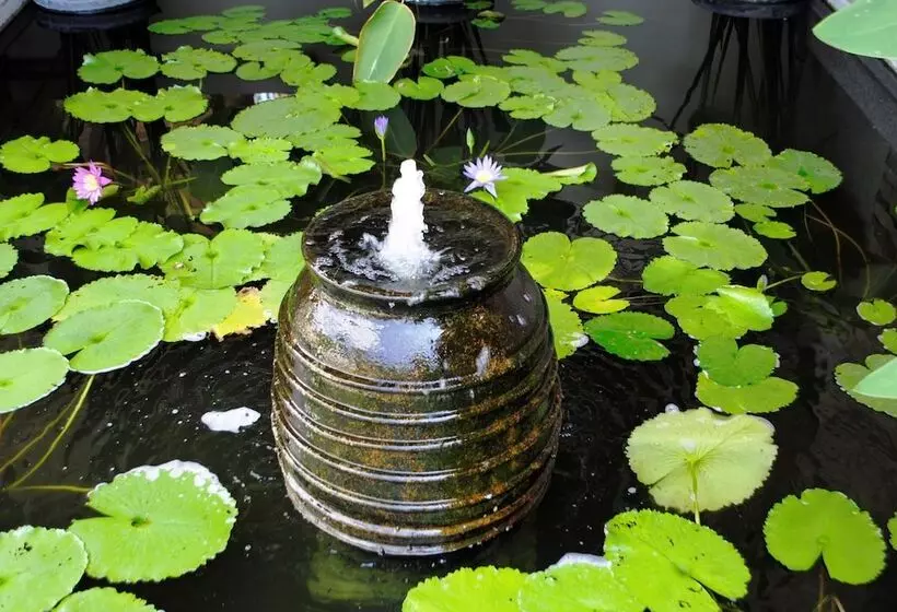 Fotos del hotel Baan Sawan Samui Resort:  13