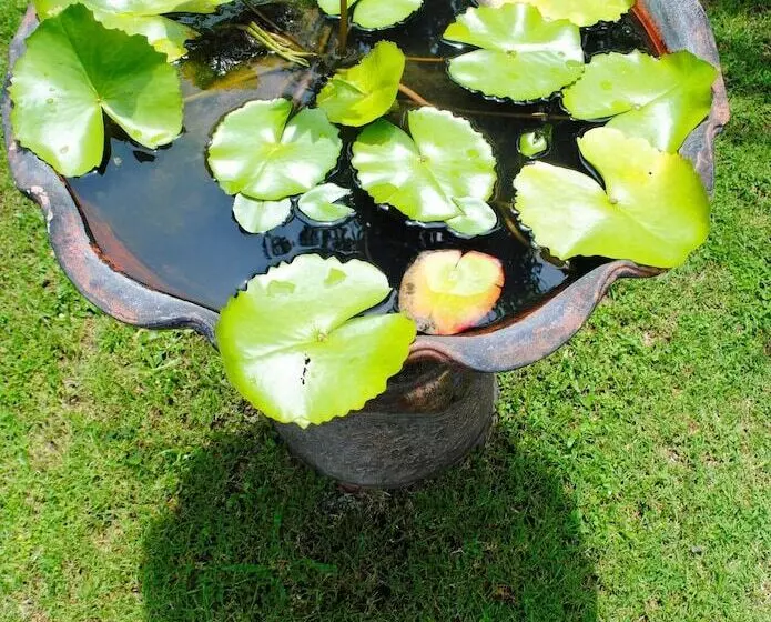 Fotos del hotel Baan Sawan Samui Resort:  7