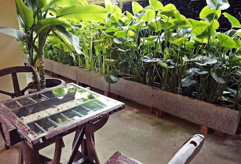 Fotos del hotel Baan S.s. Karon:  7