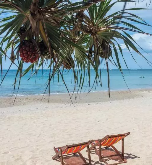 Fotos del hotel Lanta Miami Resort:  19