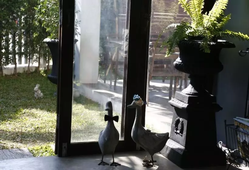 Fotos del hotel Mona Chiang Mai Boutique:  20