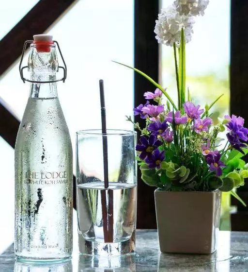 Fotos del hotel The Lodge:  11